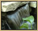 Water Features