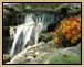 Water Feature